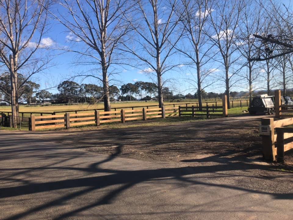 Timber post-and-rail fencing around a tree-lined rural driveway